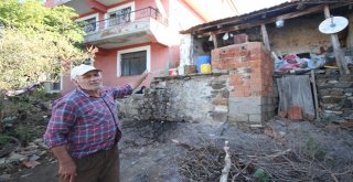 Çöp Evde Yaşayan Yaşı Adam Yardım Bekliyor