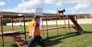 Köpekli Arama Timleri Sınavdan Geçiyor