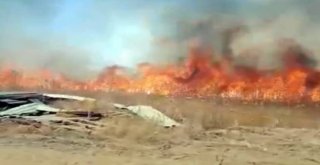 Hastane Arazisindeki Ot Yangını Korkuttu