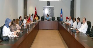 Trabzonda İklim Değişikliği İle Mücadele İçin İlk Adım Atıldı