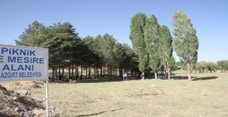 Kayyumun Açtığı Piknik Alanı Dolup Taşıyor