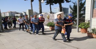 Cuma Namazına Giden Çiftçinin Hayvanlarını Çaldılar