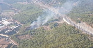 Dalamanda 1 Hektar Orman Kül Oldu