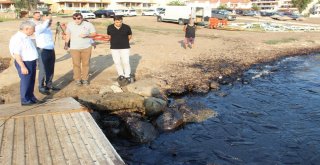 Foçadaki Petrol Kirliliğinde Bakanlık Yetkilileri Olay Yerinde