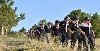 Genç Kaymekin Yavru Kurtları