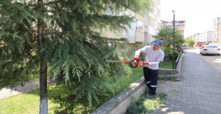 Altınordu Belediyesi Yolları Güvenli Hale Getiriyor