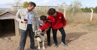 Cü Vakfı Okulları Öğrencileri Hayvanları Unutmadı
