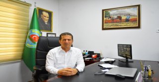 Limon Fiyatları Aldı Başını Gidiyor