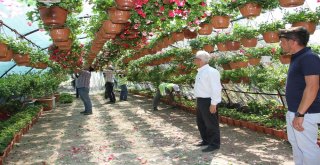 Renkli Festivalin Rengarenk Çiçekleri Hazır