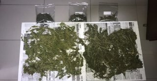 Bafrada 1 Kilo 100 Gram Kubar Esrar Ele Geçirildi