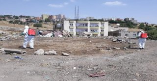 Şırnak Şehir Merkezinde İlaçlama Çalışmaları Devam Ediyor