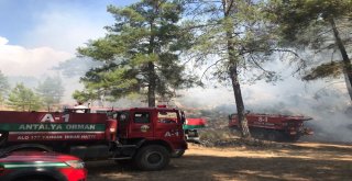 Antalyada Orman Yangını