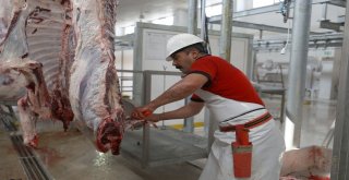 Mobil Kesim Üniteleri Hijyen Ve Güvenin Adresi Oldu