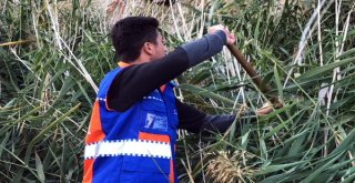 4 Gündür Kayıp Olan Sedanur Sazlık Alanda Aranacak