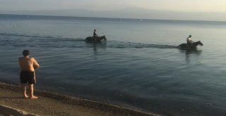 Atları Denize Sokup Serinlettiler