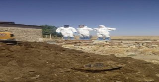 Sivasta Şarbon Şüphesi İle Karantina