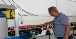 (Özel Haber) Vanda Üretilen Meyve Suyu Yurt Dışına İhraç Ediliyor