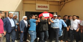Hayatını Kaybeden Polis Şanlıurfada Defnedildi