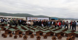 Körfezde Sokak Hayvanları Unutulmadı