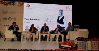 Ünlü Şefler Gaziantep Mutfağını Anlattı