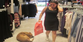 Antalyada 35 Derecede Yüreklere Su Serpen Görüntüler