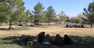 Göçmenleri İstanbul Ve Ankara Diye Diyarbakıra Getirdiler