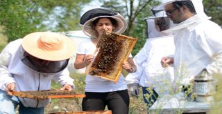 Dagem Kalkınmada Önemli Katkı Sağlıyor