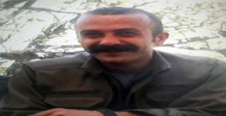 Gri Kategoride 300 Bin Tl Ödülle Aranan Terörist Öldürüldü