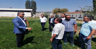 Yıldızlar Karakucak Türkiye Şampiyonası Turhalda Yapılacak