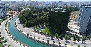 Dört Bir Yanı Sarmaşıklarla Kaplı Türkiyenin Tek Yeşil Apartmanı Adanada