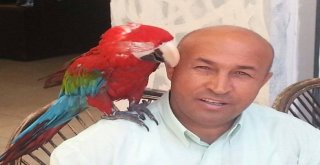 Antalyada Trafik Kazası: 1 Ölü