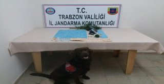 ‘Çakıldan Kaçış Yok