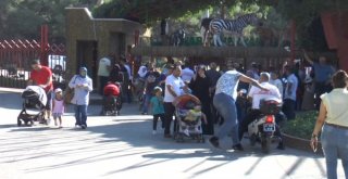 Bayram Tatilinde Gaziantep Hayvanat Bahçesine Yoğun İlgi