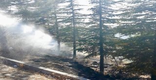 Sungurluda Korkutan Yangın