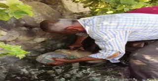 Baba Oğuldan Örnek Davranış