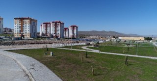 İncesude Fidan Dikimi Ve Çimlendirme Çalışmaları Devam Ediyor