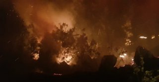 Adıyamanda Orman Yangını Paniğe Neden Oldu