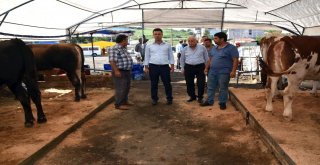 Çorluda Kurban Satış Merkezi Hazır