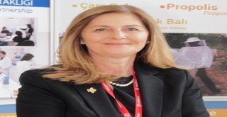 Klima Ve Havuzdan Gelen Hastalıklara Propolis Tavsiyesi