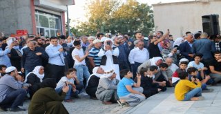 Işık Hadisesi Yoğun İlgiyle İzlendi