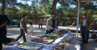 Camiler Ve Din Görevlileri Haftası