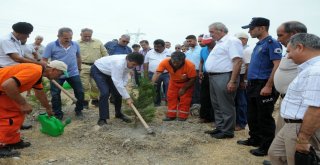 15 Temmuz Şehitleri, Hatıra Ormanında Anıldı
