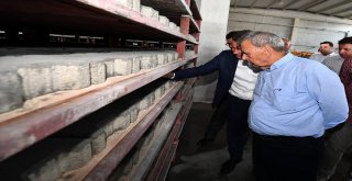 Büyükşehir Bir Taşla Üç Kuş Vuracak