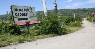 Alman Milli Takımını Bırakan Özile Hemşehrilerinden Destek