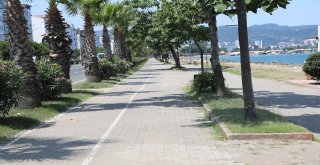 Koşu Ve Bisiklet Yolunun İhalesi Yapıldı