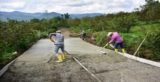 Ünye Belediyesinden 85 Mahalleye Eşit Hizmet