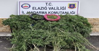 Elazığda Uyuşturucu Operasyonu: 5 Gözaltı